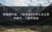 微密圈科普：八卦背后7个你从没注意的细节，八卦的奥秘