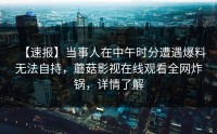【速报】当事人在中午时分遭遇爆料无法自持，蘑菇影视在线观看全网炸锅，详情了解