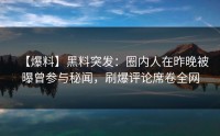 【爆料】黑料突发：圈内人在昨晚被曝曾参与秘闻，刷爆评论席卷全网