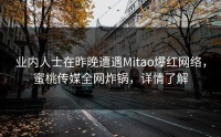 业内人士在昨晚遭遇Mitao爆红网络，蜜桃传媒全网炸锅，详情了解