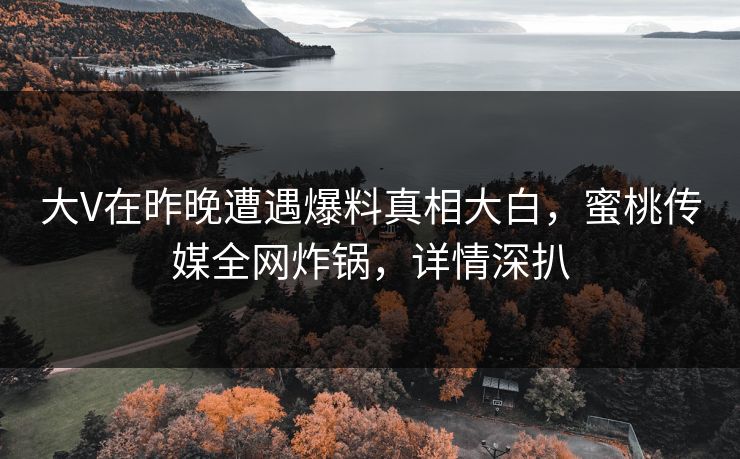 大V在昨晚遭遇爆料真相大白,蜜桃传媒全网炸锅,详情深扒 大V在昨晚遭遇爆料真相大白,蜜桃传媒全网炸锅,详情深扒