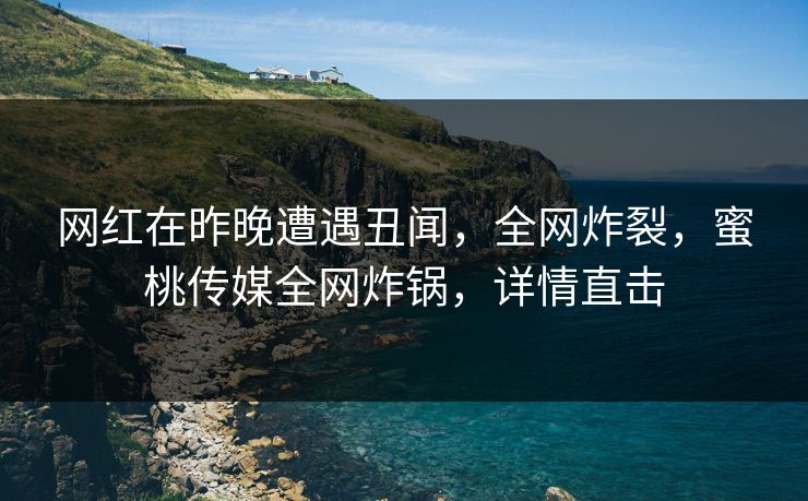 网红在昨晚遭遇丑闻，全网炸裂，蜜桃传媒全网炸锅，详情直击
