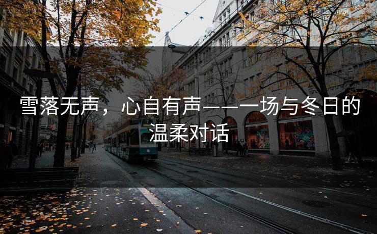 雪落无声,心自有声——一场与冬日的温柔对话 雪落无声,心自有声——一场与冬日的温柔对话