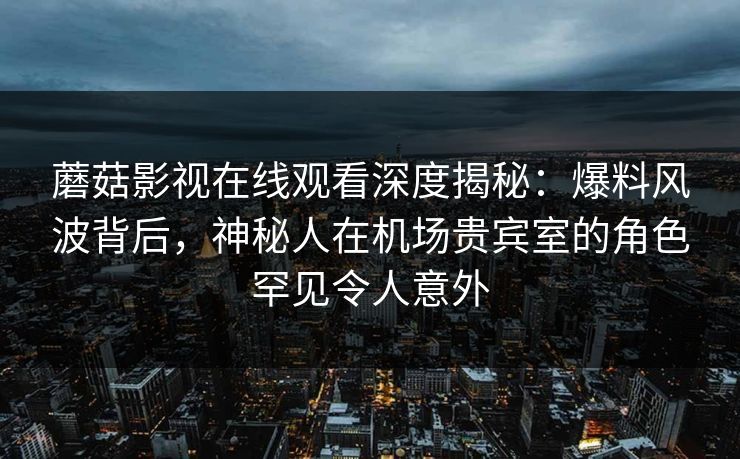 蘑菇影视在线观看深度揭秘:爆料风波背后,神秘人在机场贵宾室的角色罕见令人意外 蘑菇影视在线观看深度揭秘:爆料风波背后,神秘人在机场贵宾室的角色罕见令人意外
