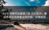 大V在傍晚时刻遭遇八卦 沉沦其中，蘑菇影视在线观看全网炸锅，详情围观