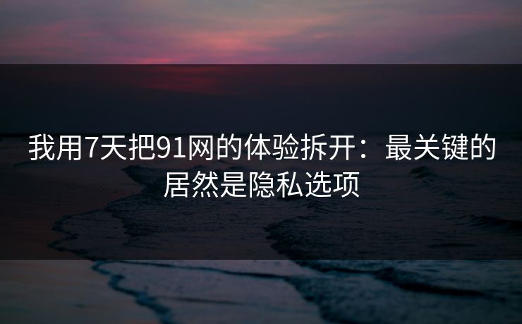 我用7天把91网的体验拆开：最关键的居然是隐私选项