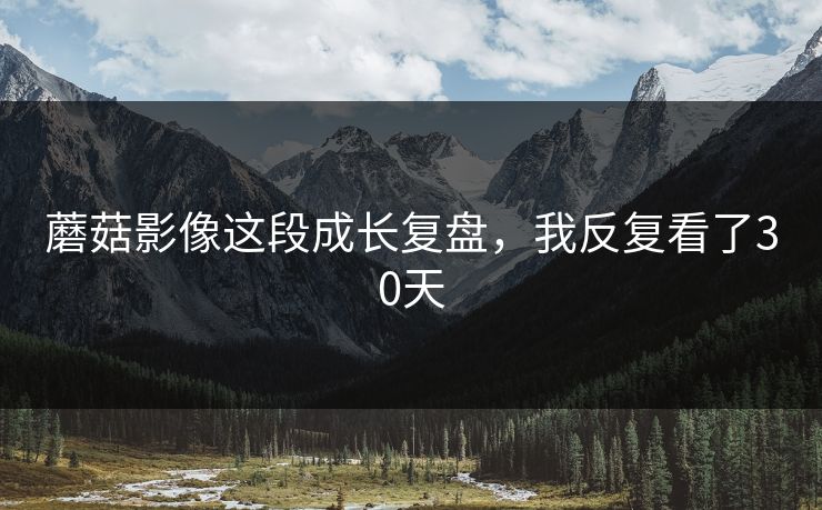 蘑菇影像这段成长复盘,我反复看了30天 蘑菇影像这段成长复盘,我反复看了30天